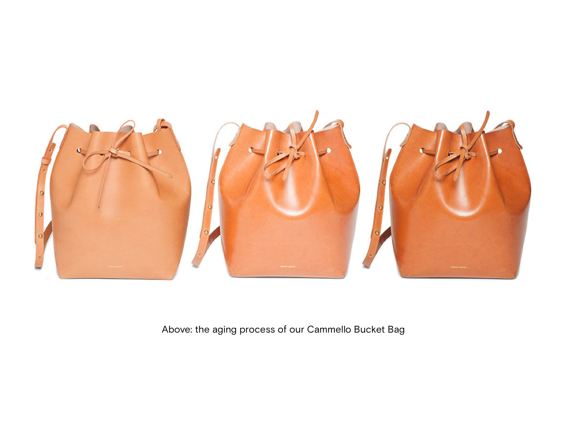 Mansur gavriel vegetable tanned discount leather mini mini bucket bag